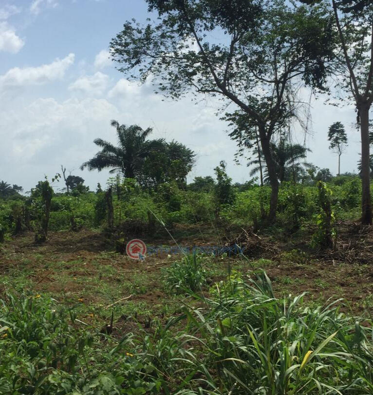 TRINITY GARDENS ELERANGBE BEJU-LEKKI N15,000 DOWN PAYMENT